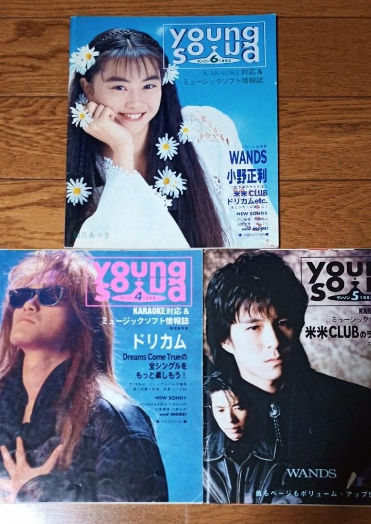 ヤングソング　１５冊セット