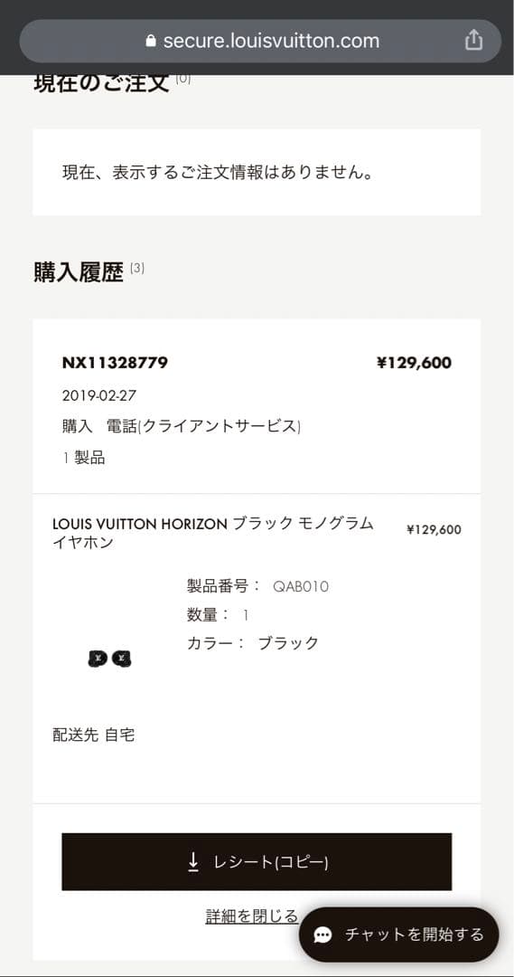 希少、美品)ルイヴィトン　イヤホン