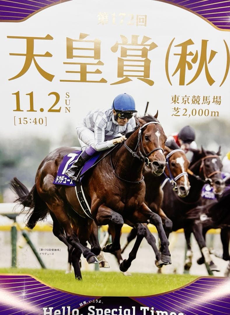 ゆ*。様 2025年 天皇賞(秋) ドウデュース ポスター