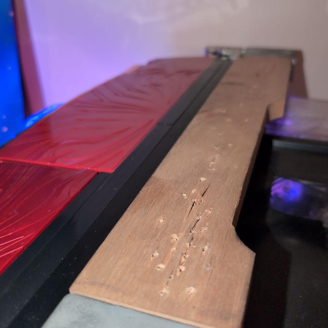 サミー　ゾンビランドサガ　　循環加工済み　訳あり