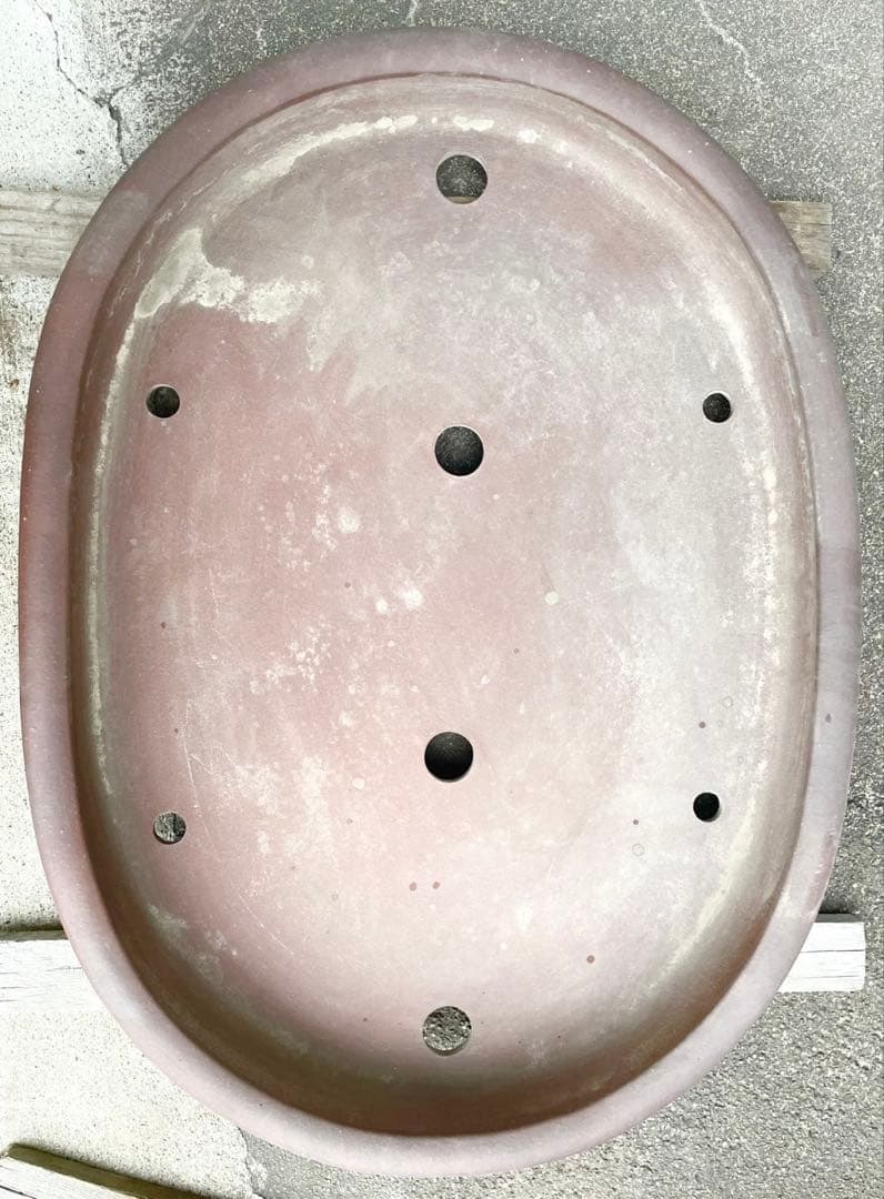 盆栽　鉢　60cm　大型　特大　常滑焼　松泉焼　山秋