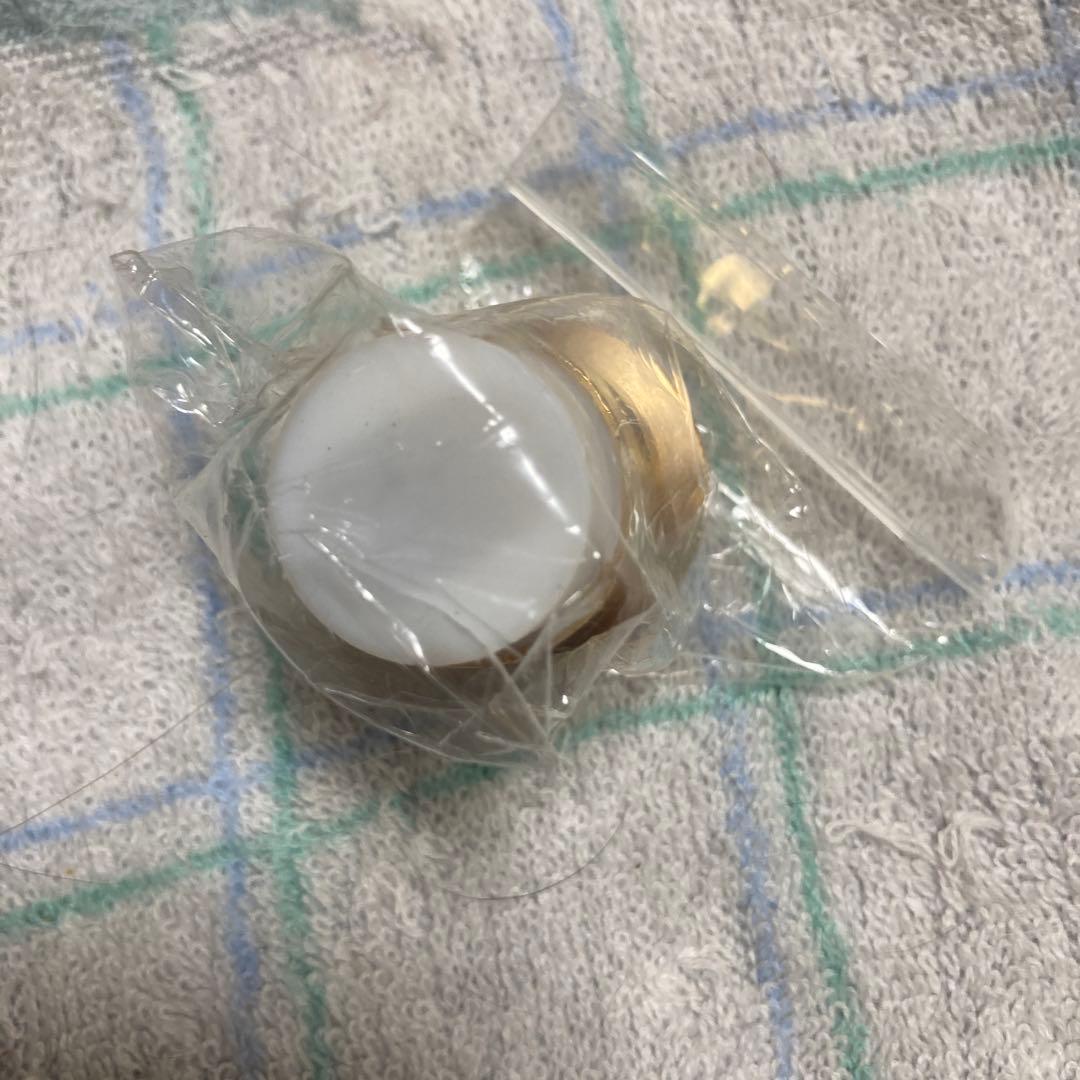 B I R D エレメント　新品未使用　バード43ワット