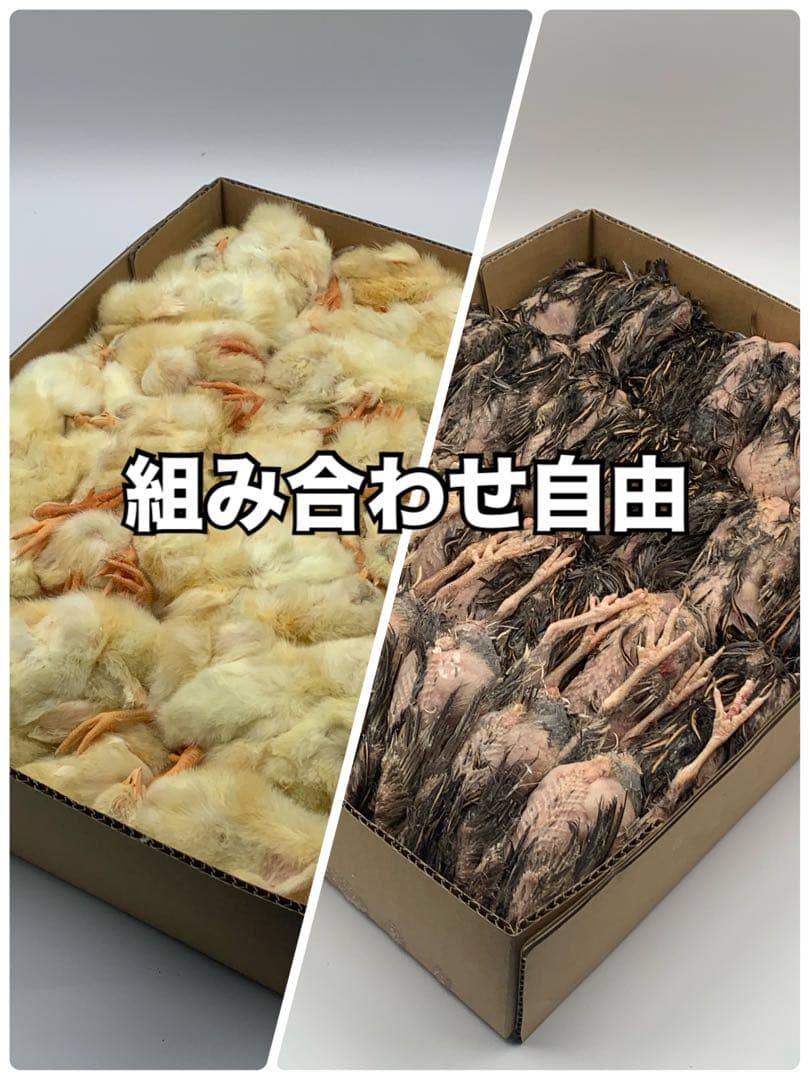 冷凍ヒヨコ5kg×3段【送料込】