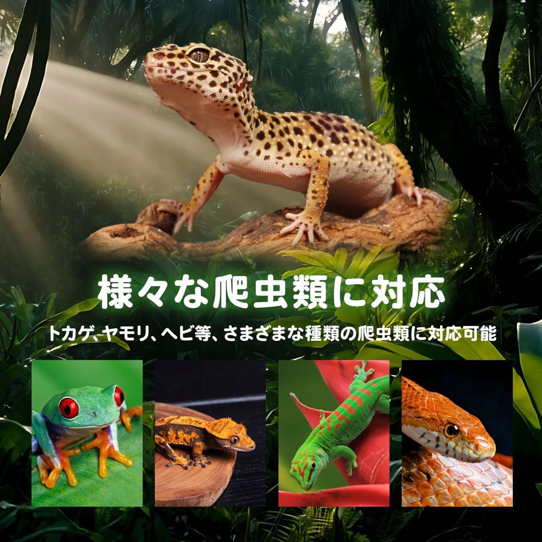 レプティクルHI 3つセット