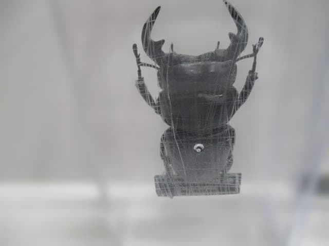 【中古品】昆虫標本　カブトムシ・クワガタ　まとめ売り