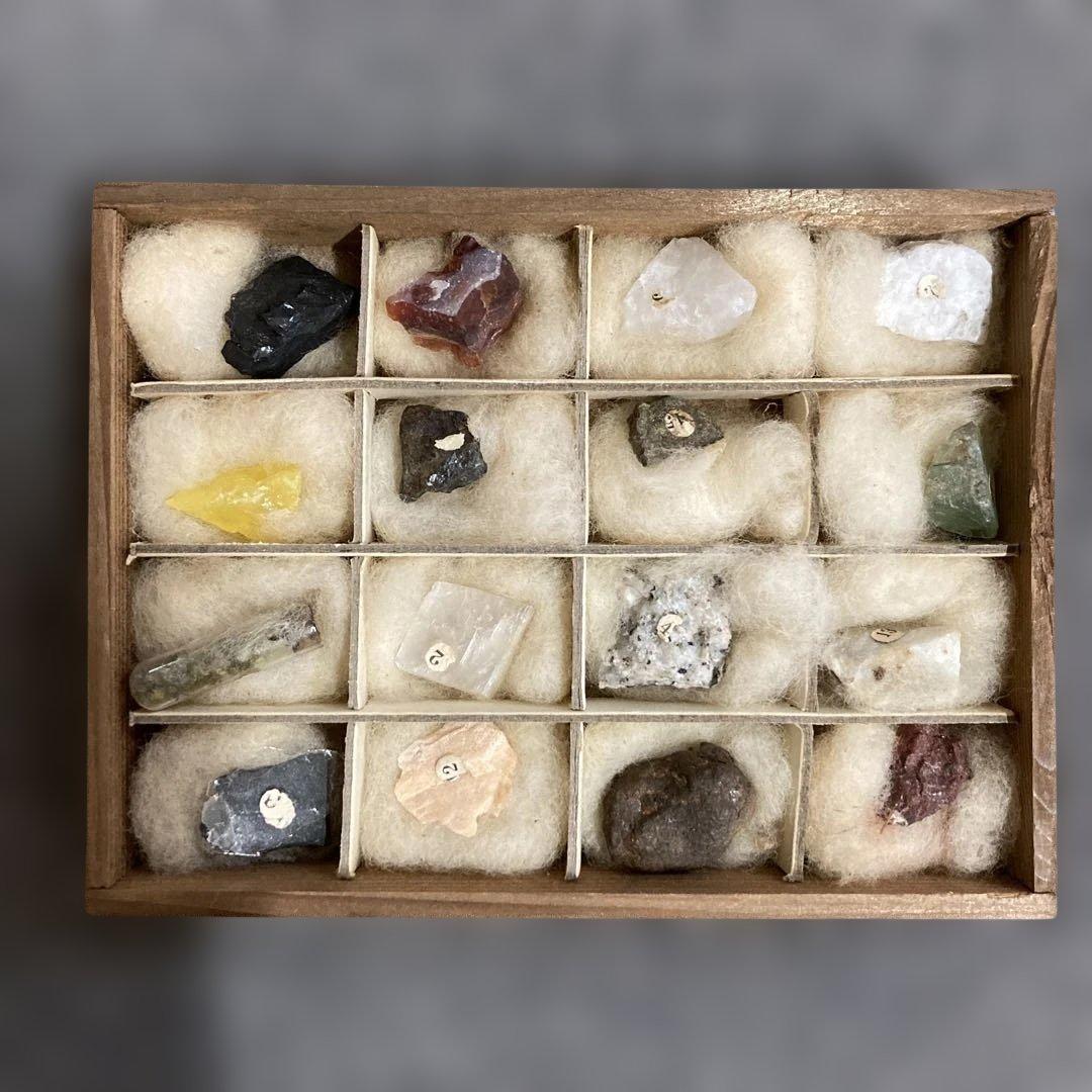 トワカス 木製鉱石標本箱 12個収納