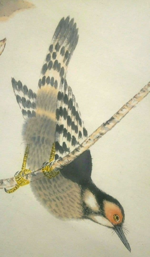 小杉放庵直筆紙本掛け軸共箱付き(題名霜の河雀)