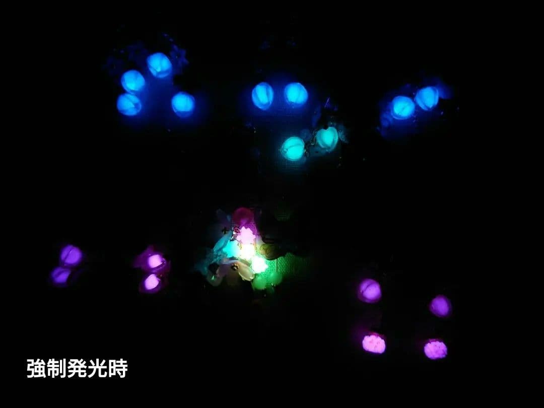 イヤリング８点再販リクエスト