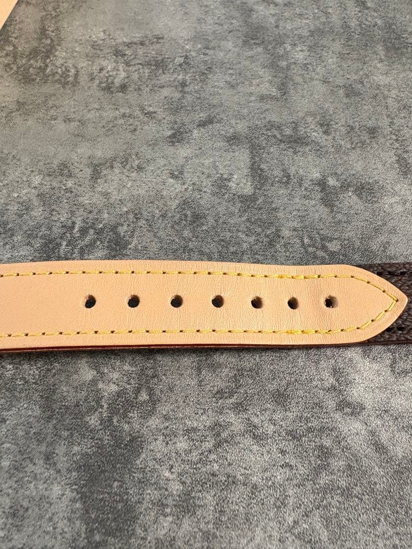 ✨新品試着のみ✨LOUIS VUITTON/首輪/定価73,700円/PMサイズ