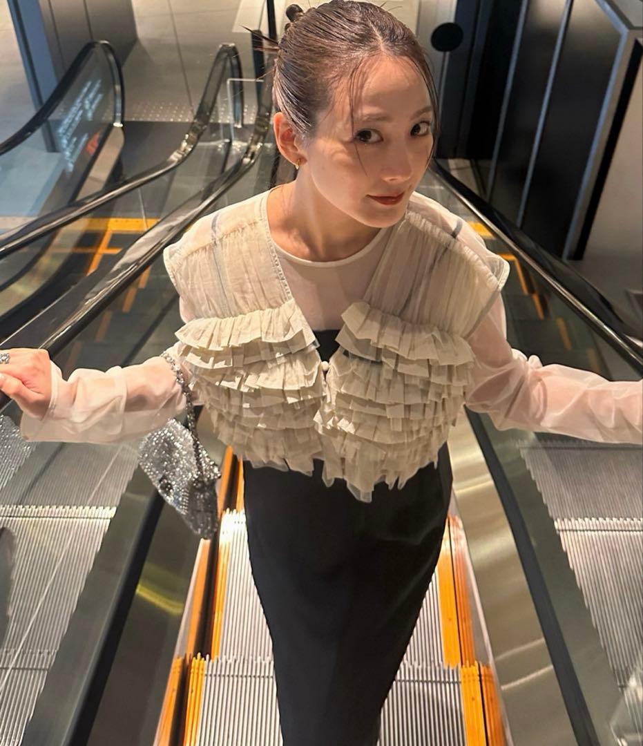 ANDRESD タフタチュールベストセットドレス　s