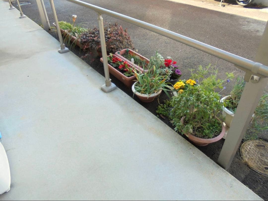 デジタルカメラ SONY Cyber-shot DSC-W810