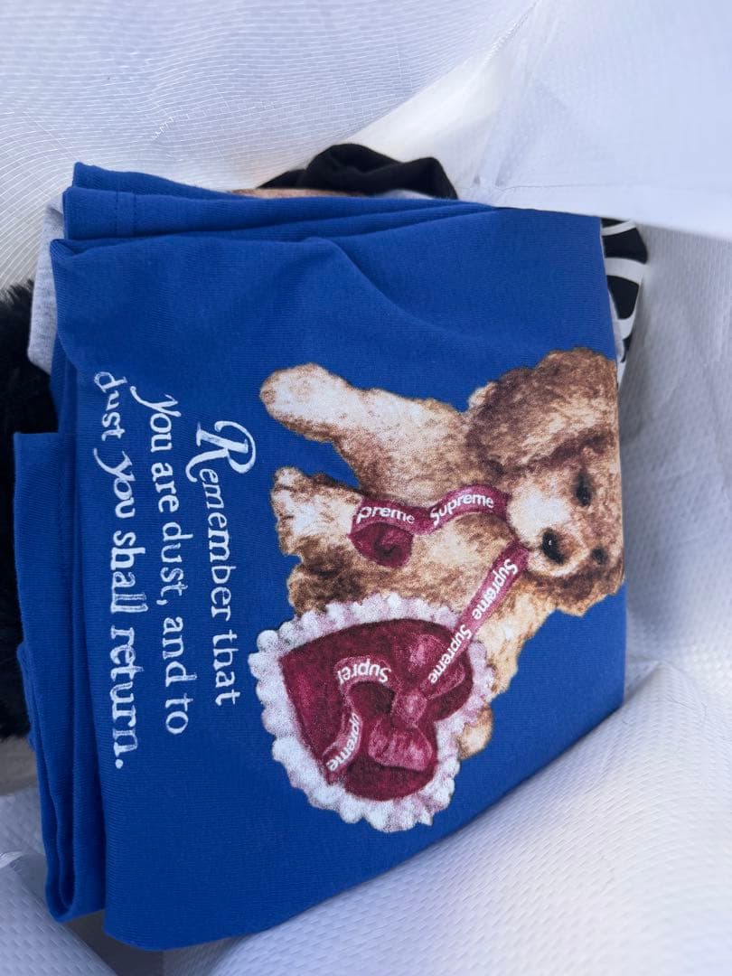 25aw Supreme Dust tee tシャツ L 青　ブルー