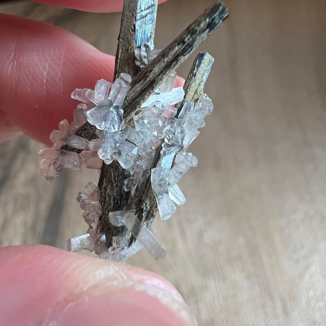 エジリン輝石 ナトロライト 30 共生 鉱物 標本 原石