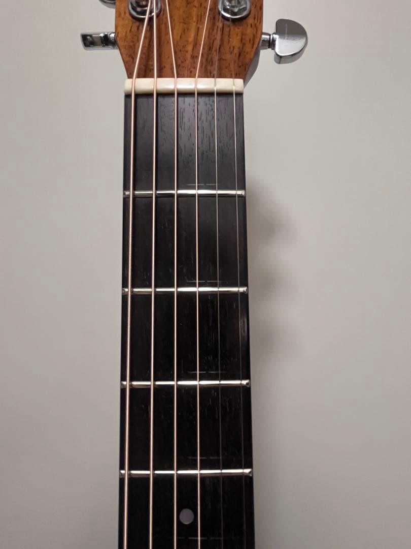 MORRIS M-80 LTD オール単板　値下げ中