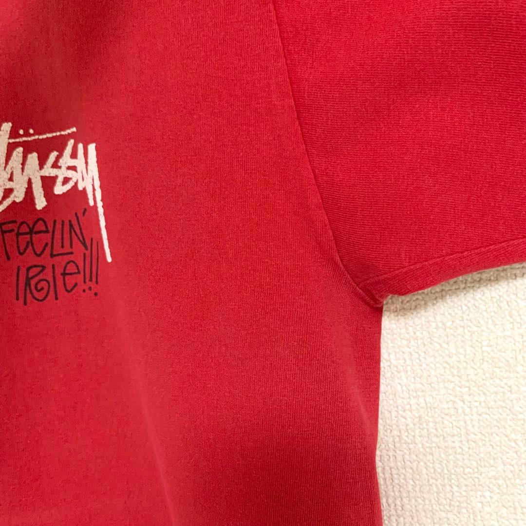 80s 前期 STUSSY USA製 黒タグ ラスタ ライオン Leo Tシャツ