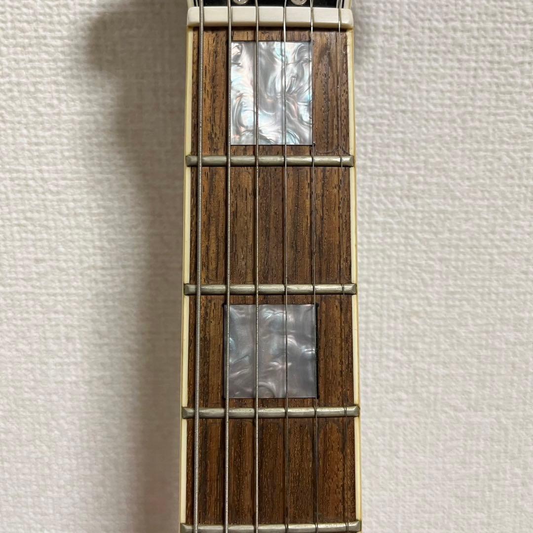 Bunny ギター レスポール SQUADRON ソフトケース