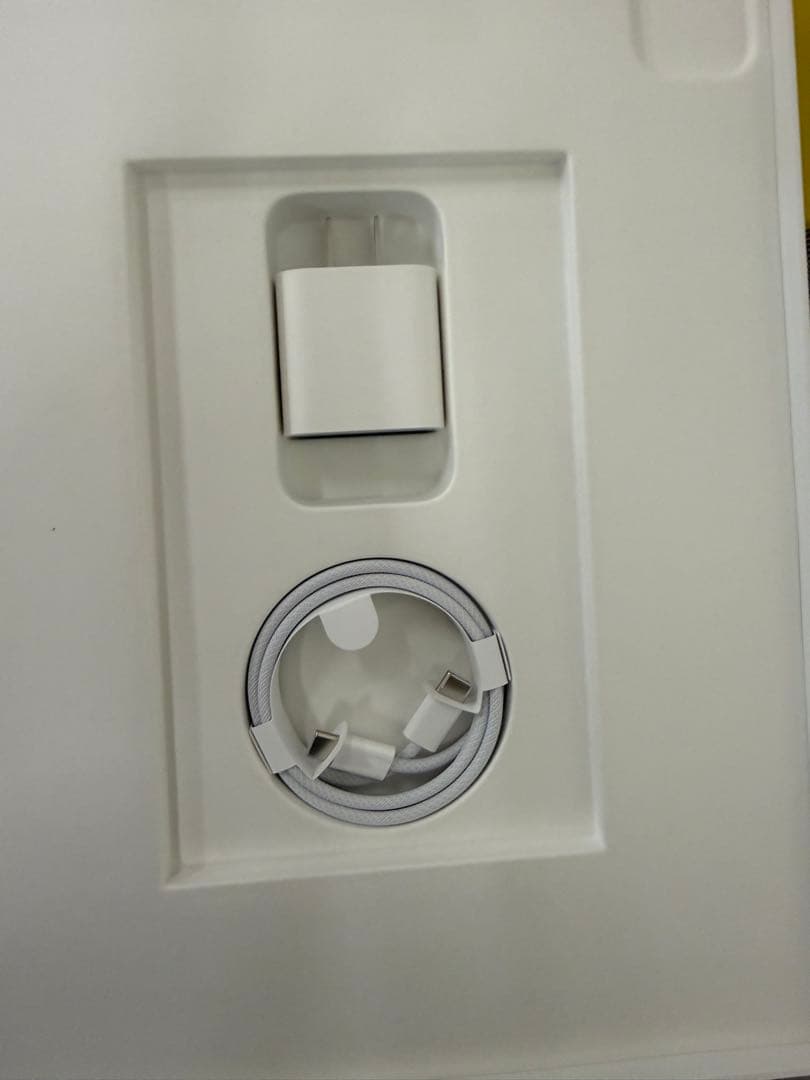 iPad Pro 12.9 第6世代 1TB Wi-Fi cellul