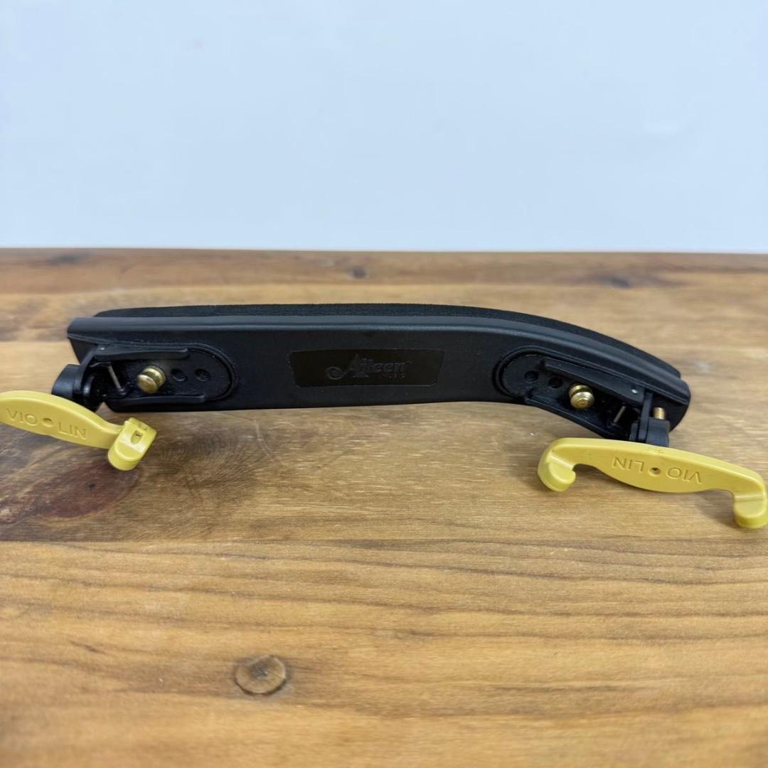 【美品】hallstatt サイレントバイオリン CV-210E エレキ 黒