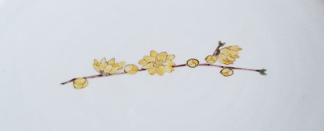 豊福誠 作 色絵磁器レンギョウ文皿 (未使用 新品同様)