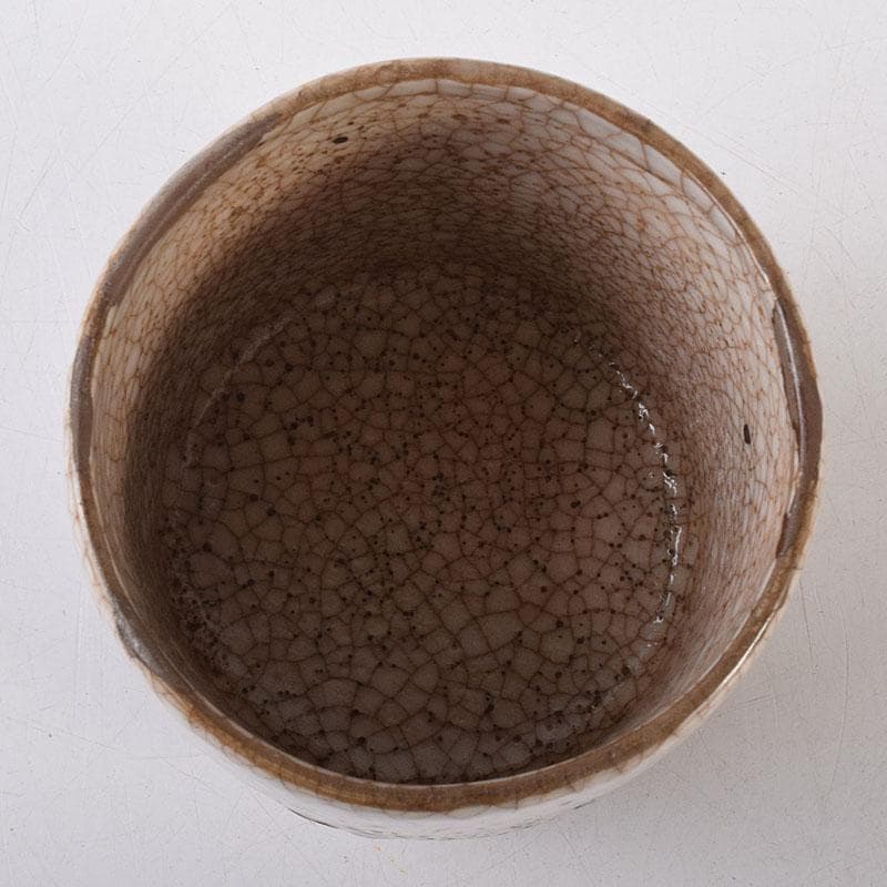 茶道具　古志野　梅絵図　茶碗　時代箱　V　R8652