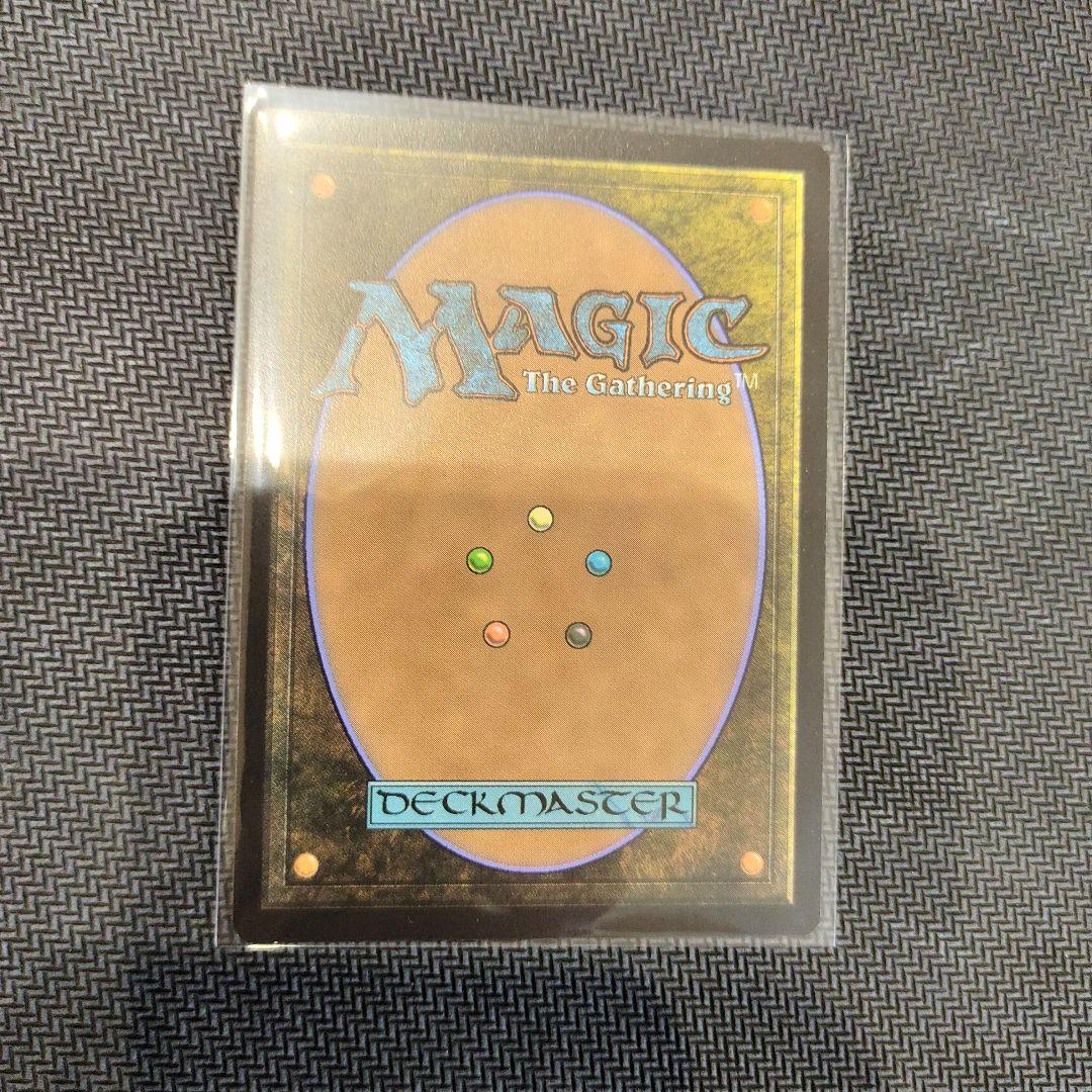 MTG シャドウの愛犬、インターセプター　日本語　拡張Foil　ボーダーレス