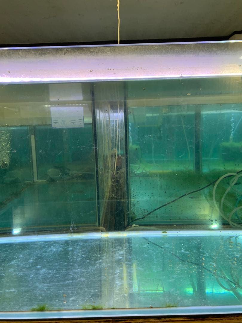 水槽90センチ　コトブキ　レグラス　90cm　KOTOBUKI