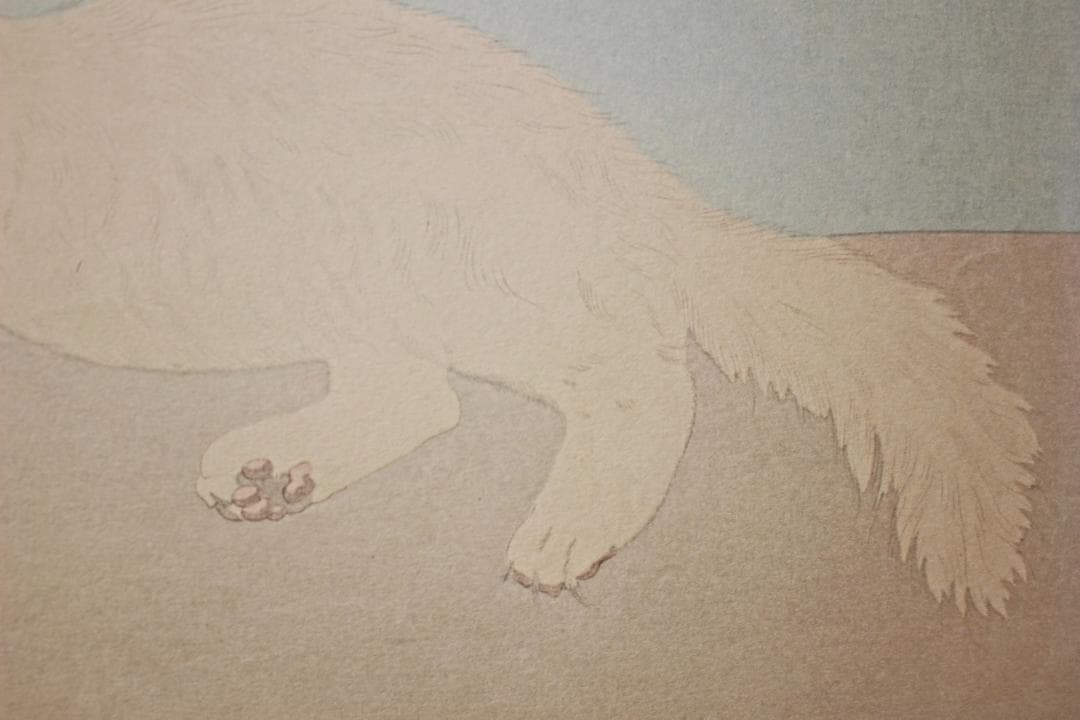 藤田嗣治 エスタンプリトグラフ「白い猫」 150部限定 13/150