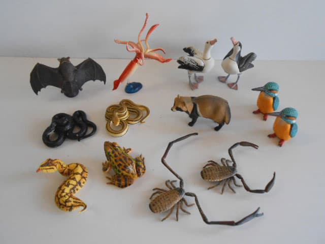 ♯Jvi12Gj カプセルQ 日本の動物3 東京 巨大都市と離島 フル 全13種