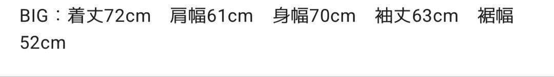 最安値 新品 L(BIG) ¥39,600 アンバーグリーム ジャケット