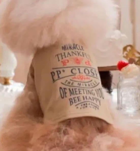 pp*closet BEE HAPPY Tシャツ 34 新品