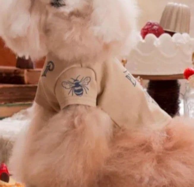 pp*closet BEE HAPPY Tシャツ 34 新品