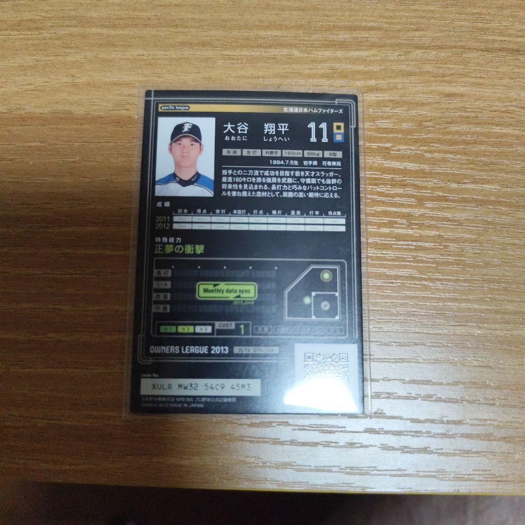大谷翔平 オーナーズリーグ2013