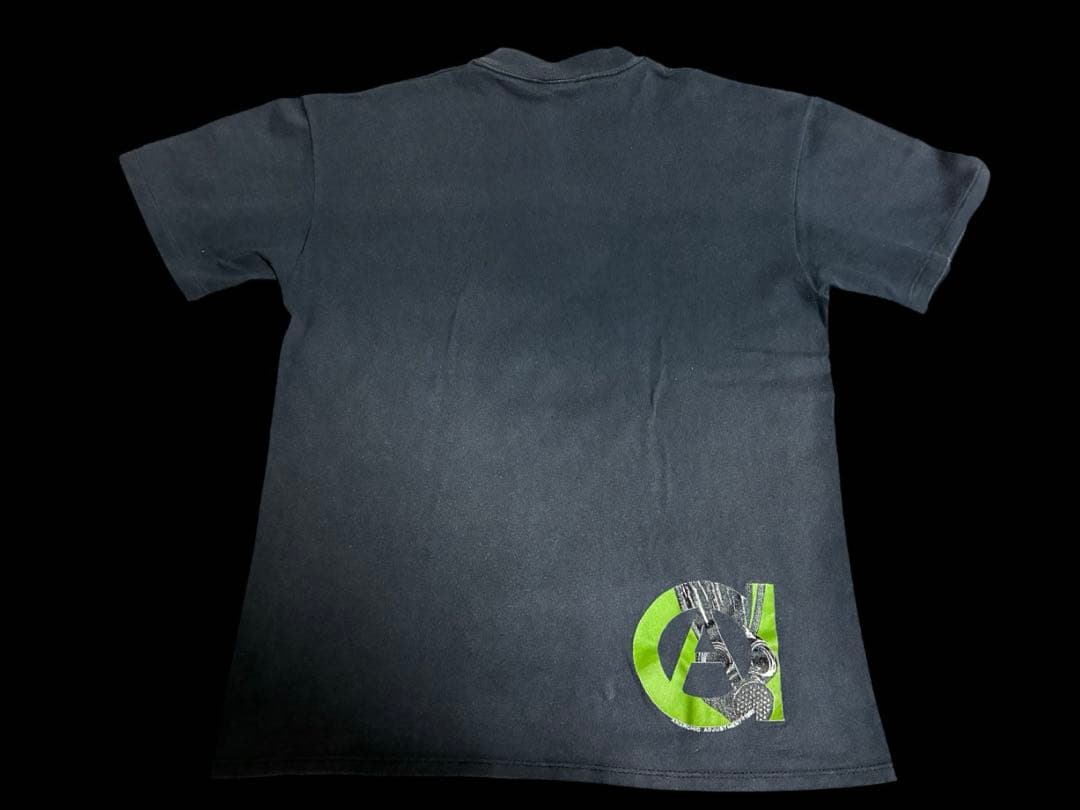 anarchic adjustment 1990 初期パンク