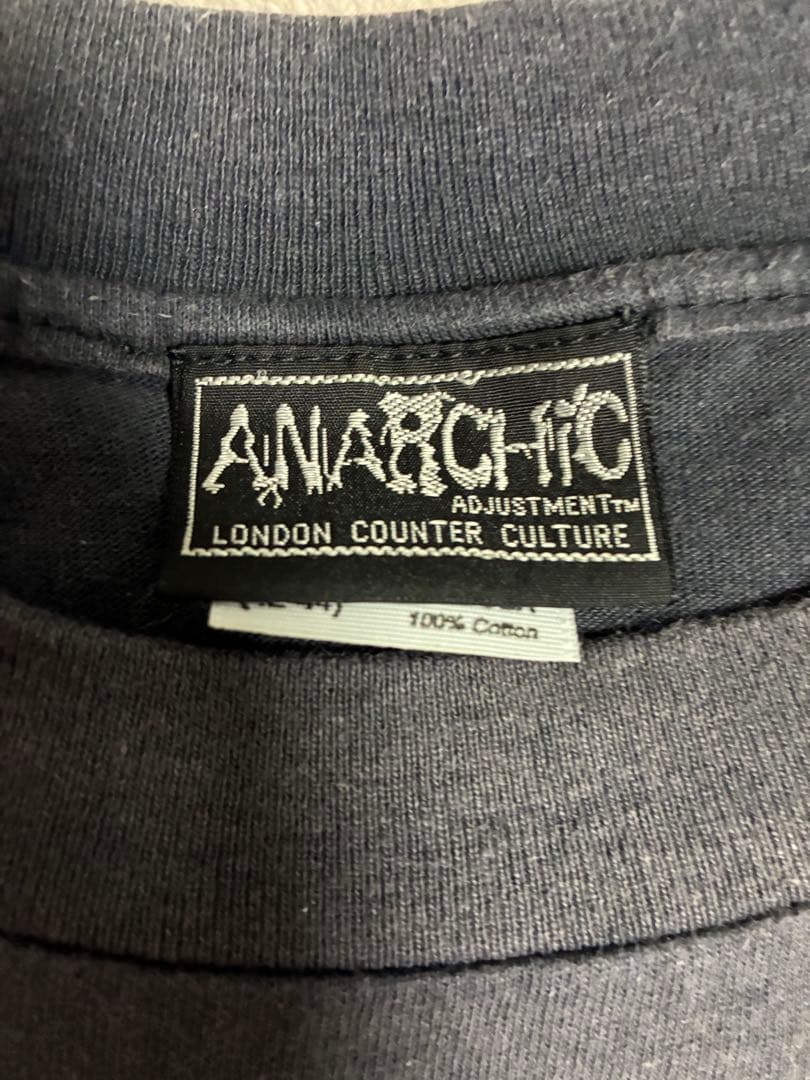 anarchic adjustment 1990 初期パンク