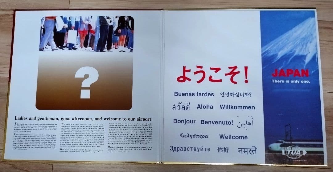 砂原良徳 What's Underground Airport!? レコード