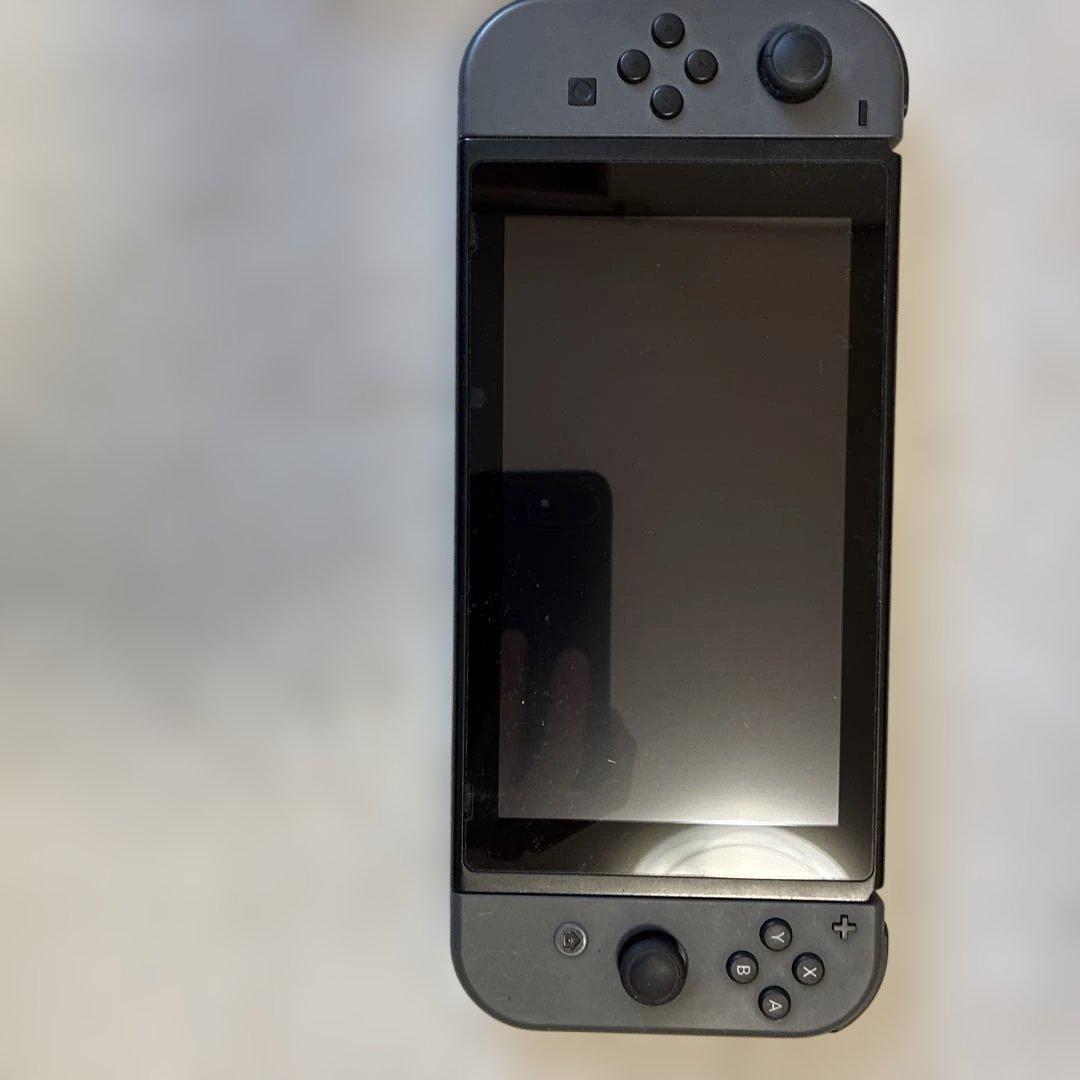 Nintendo Switch 本体 グレー 充実の付属品