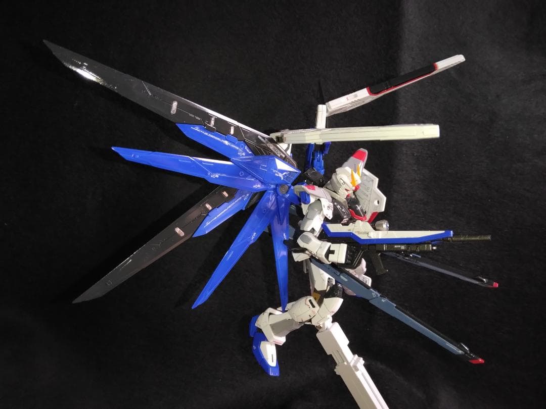正月価格【塗装済 完成品】RG 1/144 フリーダムガンダム 光沢塗