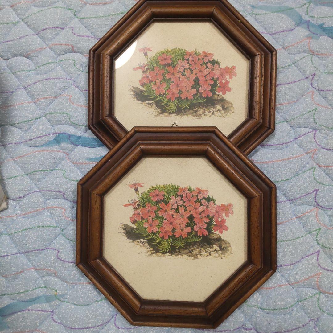 値下げ　ボタニカルアート 　六角フレーム 7点セット！ イタリア製