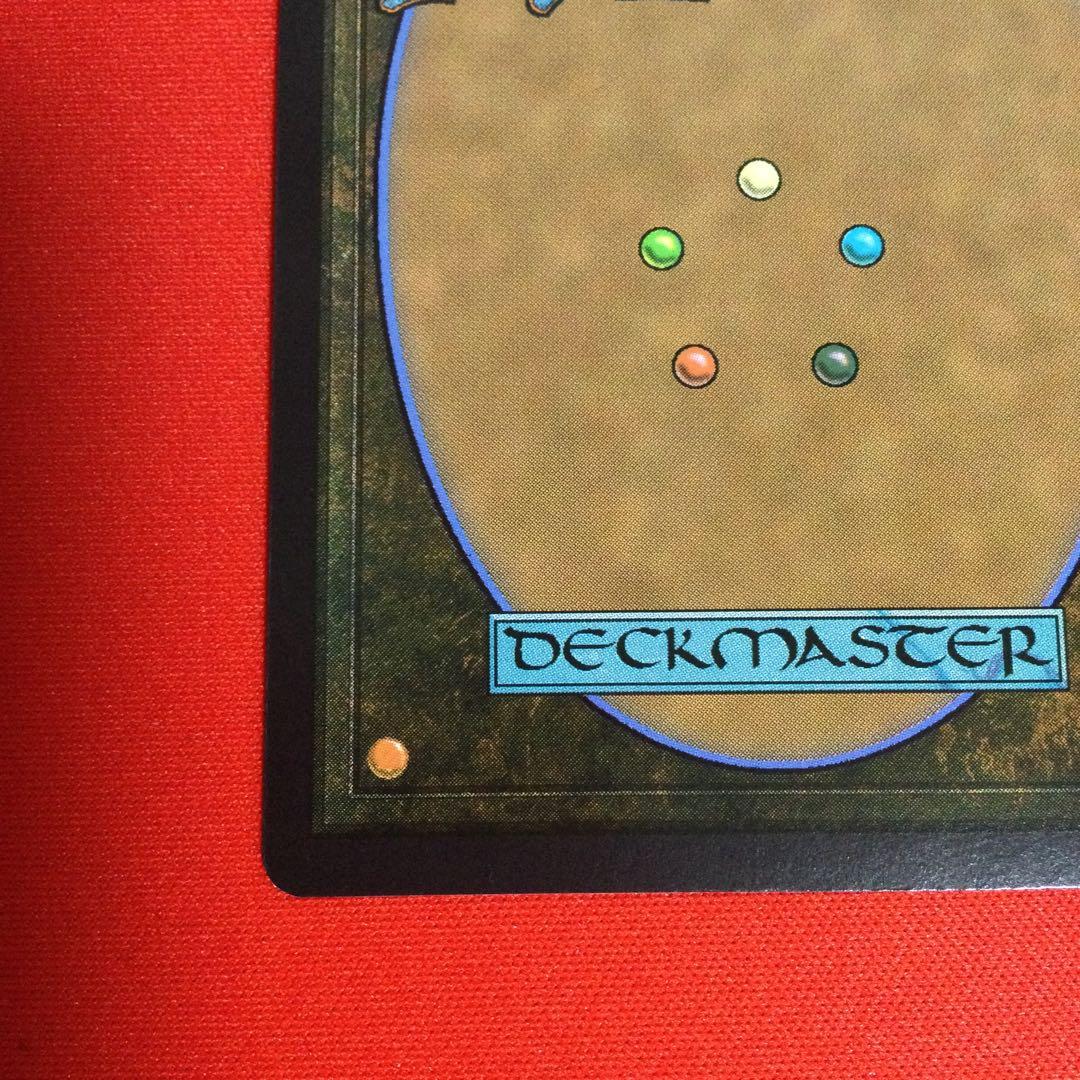 霧深い雨林　Misty Rainforest　ドラゴンスケイル　foil