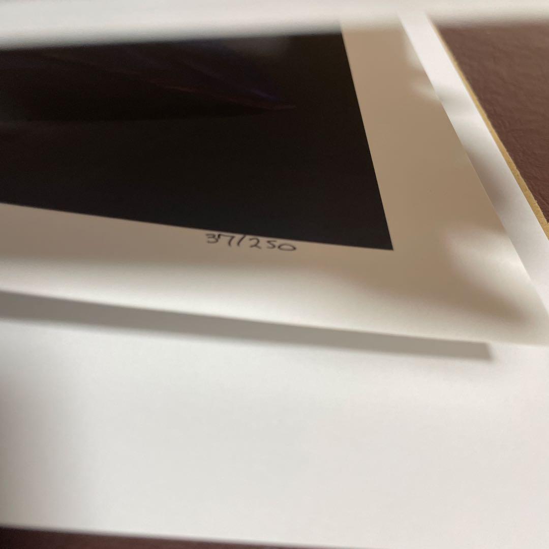 【世界250枚限定】宝石の睡蓮 Jeweled Lotus複製原画