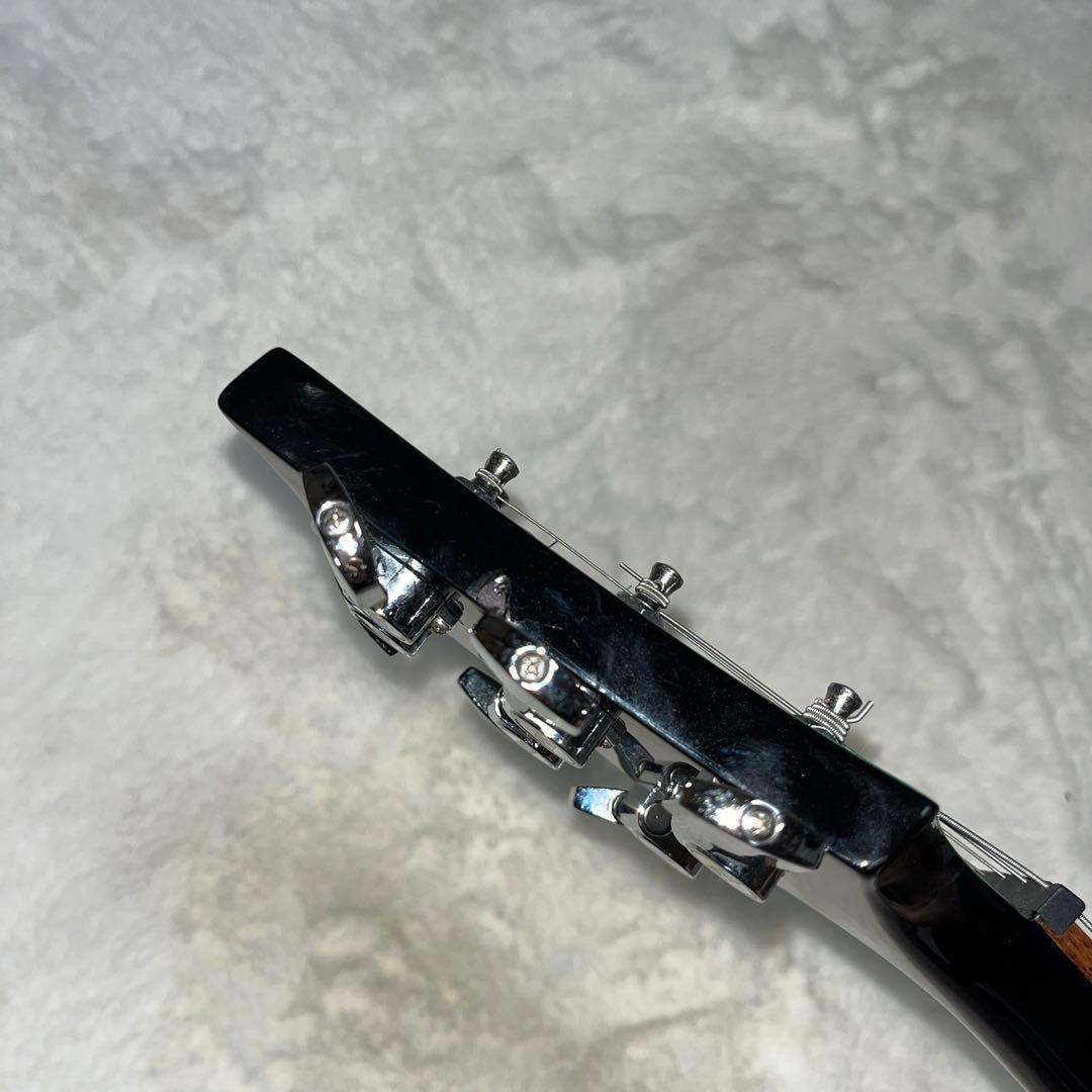 PRS ポールリードスミスSE custom