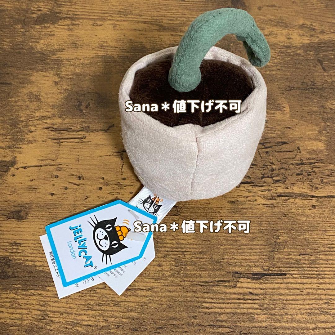 廃盤　新品タグ付き　ジェリーキャット　植物　観葉植物　鉢植え　ポット　芽