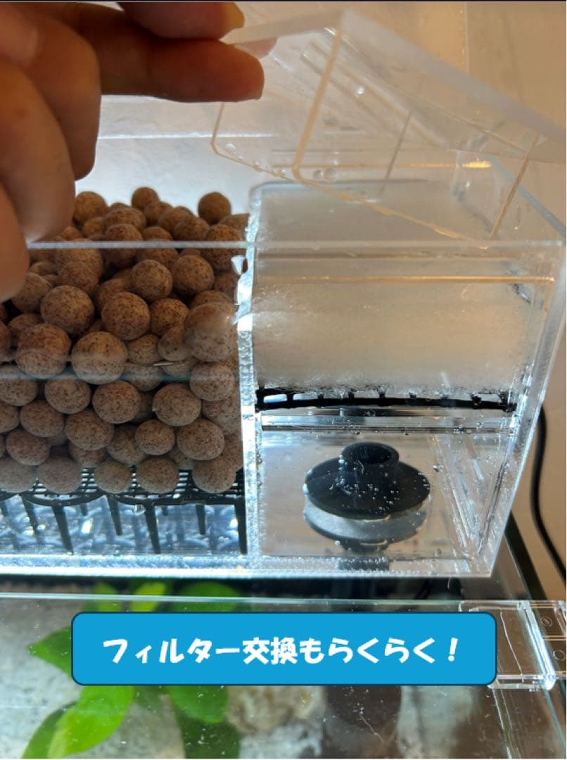 【格安】上部濾過アクアリウム水槽　アクアポニックス（観葉植物）仕様