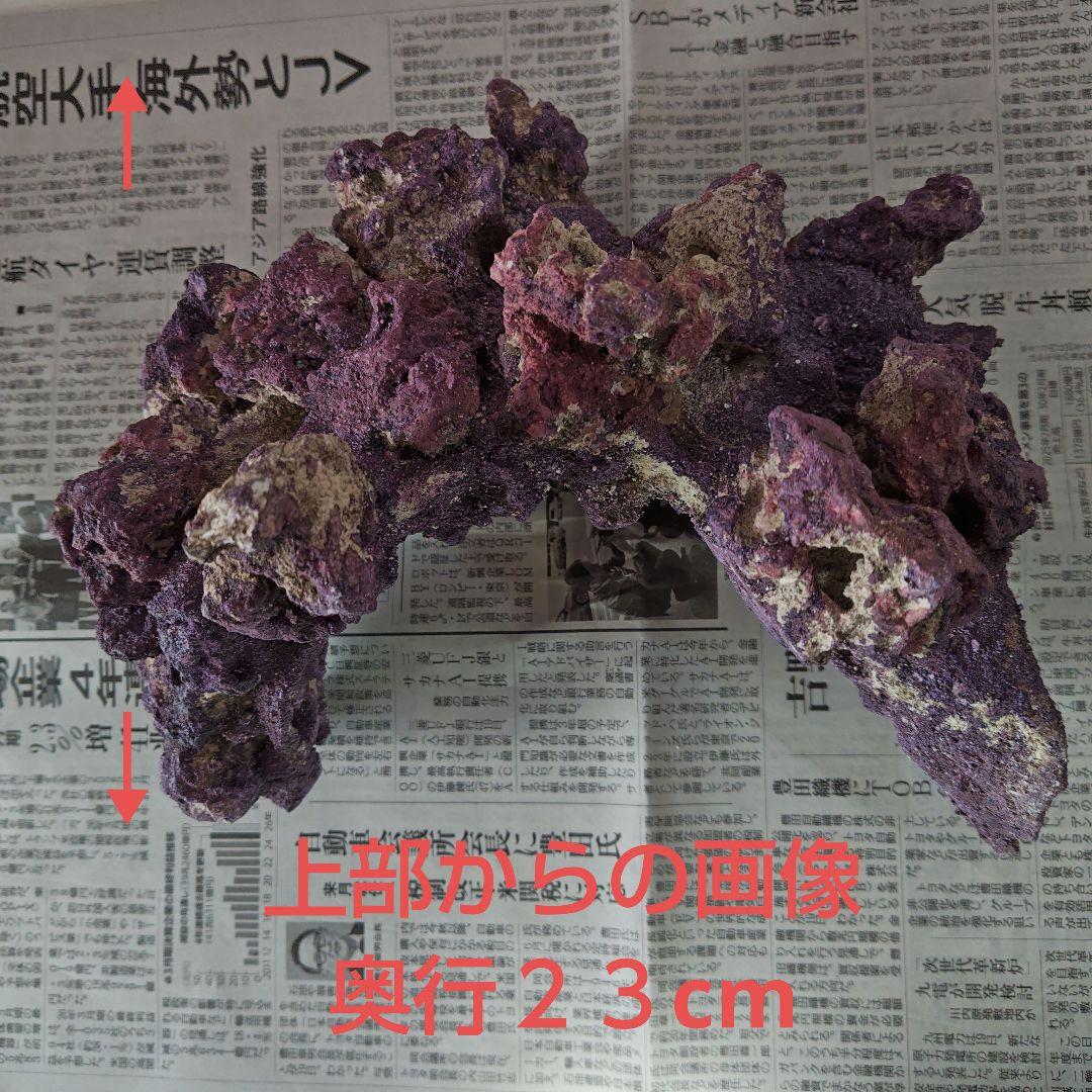 カリブシーライフロックのアーチ型　１個になります！　(人工ライブロック)