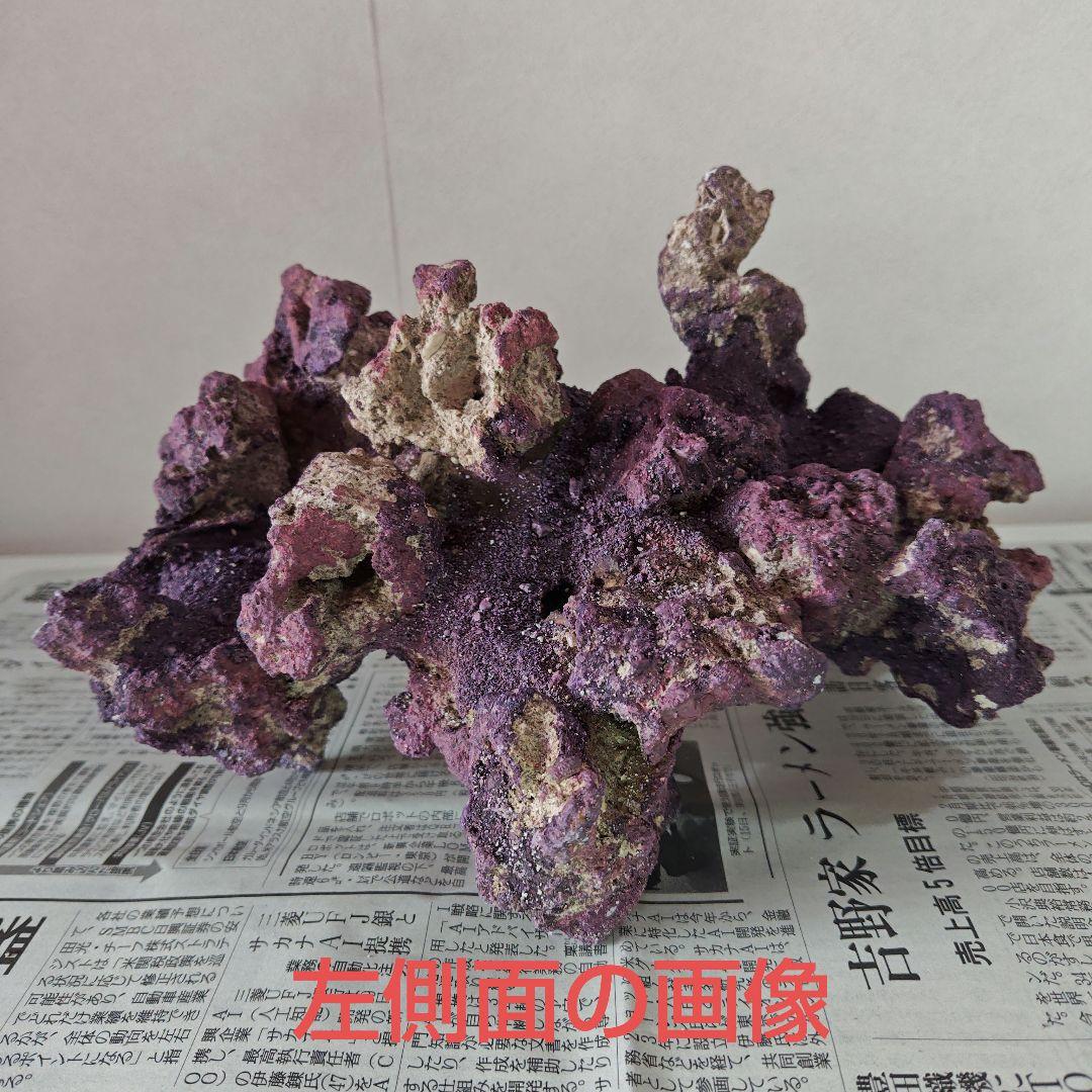 カリブシーライフロックのアーチ型　１個になります！　(人工ライブロック)