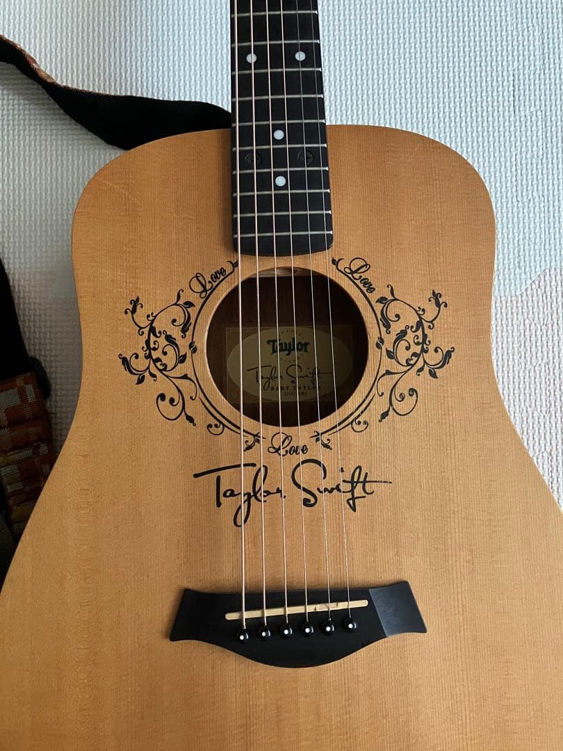 トラベルギター　Taylor ギター ケース、ストラップ付き