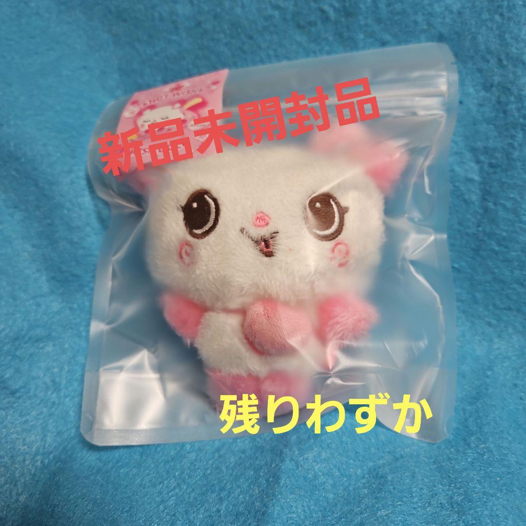 NCTWISH ウィッシュドールサクヤ新品未開封品