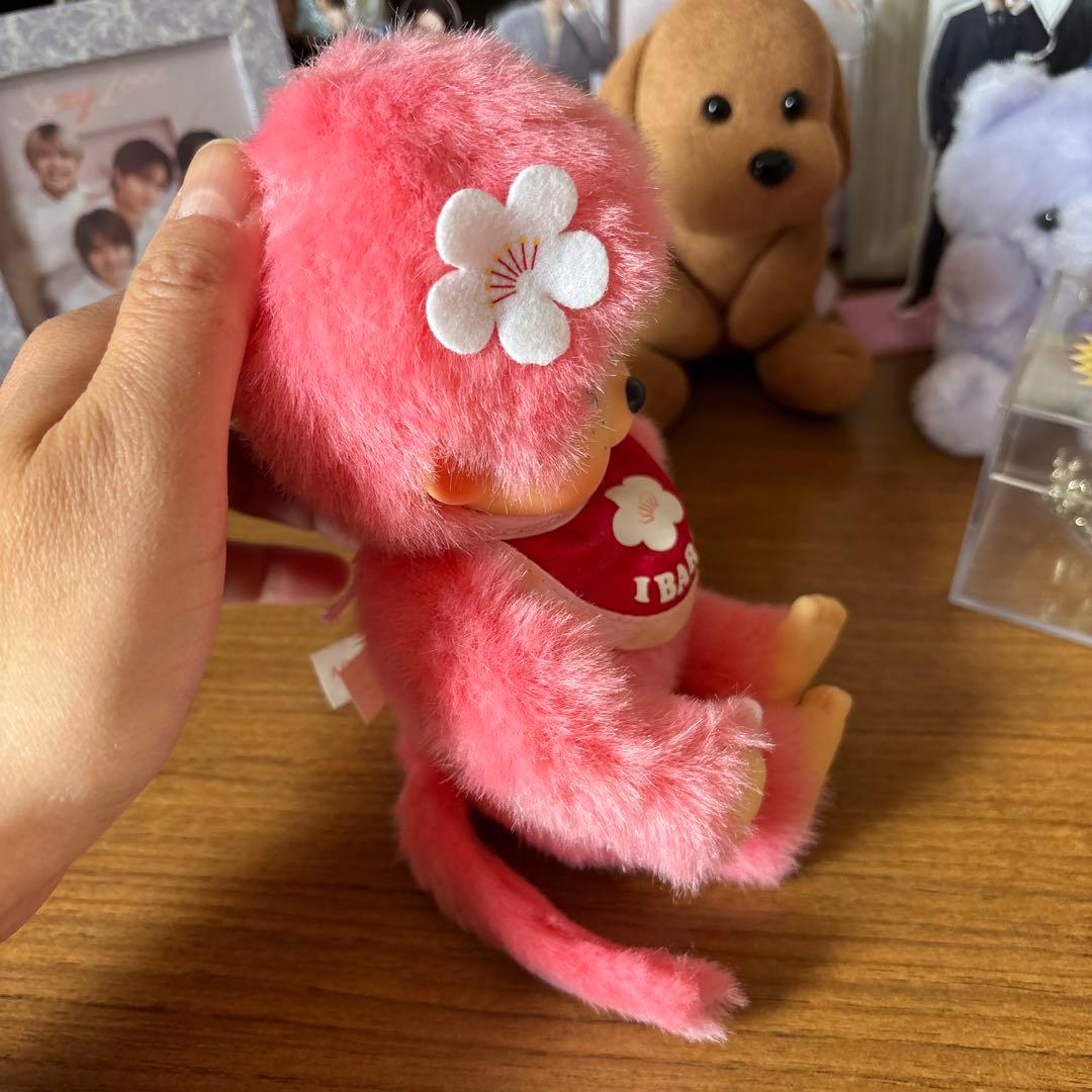 ご当地　茨城 限定 モンチッチ　（梅モンチッチ）