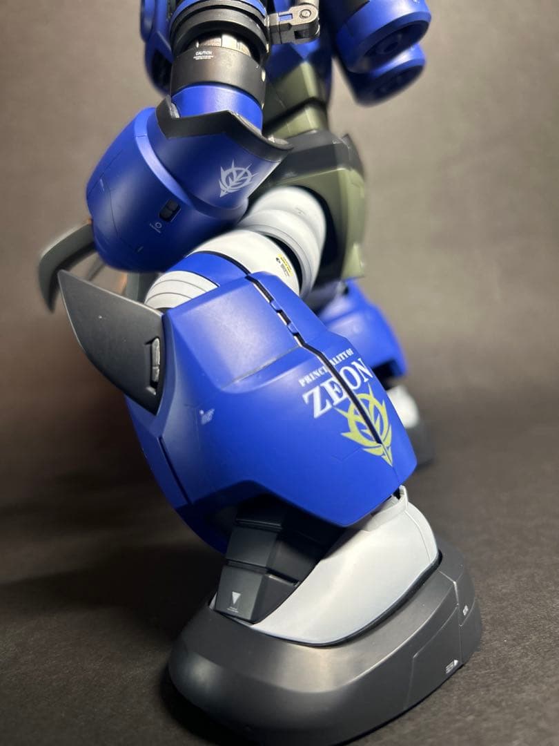 MGズゴック　塗装済完成品