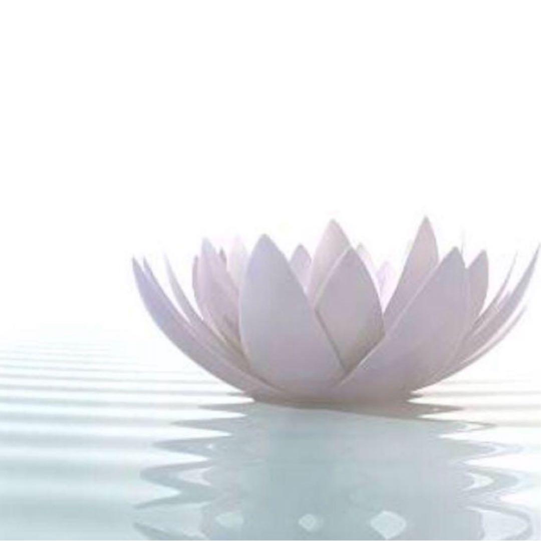 ししまる様 3品